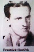 Slaviček